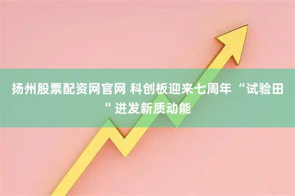 扬州股票配资网官网 科创板迎来七周年 “试验田”迸发新质动能