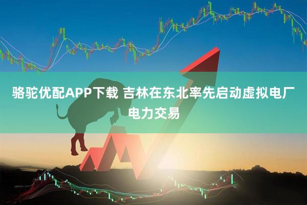 骆驼优配APP下载 吉林在东北率先启动虚拟电厂电力交易