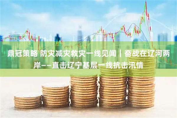 鼎冠策略 防灾减灾救灾一线见闻｜奋战在辽河两岸——直击辽宁基层一线抗击汛情